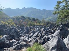 -千岛湖石林