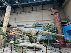 -国家自然博物馆