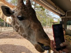 -清迈夜间动物园