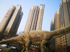 -陕西自然博物馆