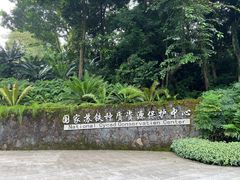 -深圳仙湖植物园