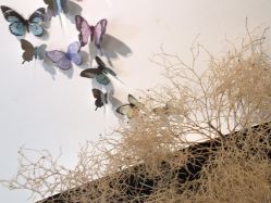 -鲸彩·美甲美睫科技护肤