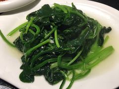 -老苏州芳和园茶酒楼  传统苏帮菜(观前店)