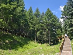 -芦芽山旅游度假区