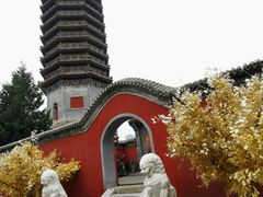 -西海子公园