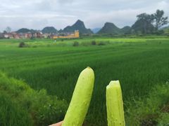-普者黑风景区-青龙山