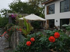 -三圣花乡旅游区