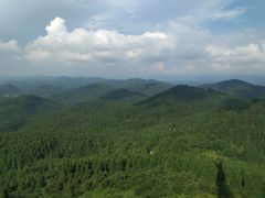 -武陵山森林公园