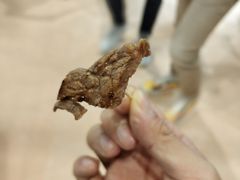 -香港会议展览中心演讲厅