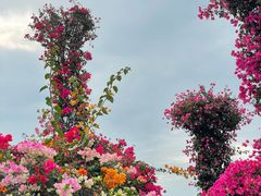 -三亚西岛海洋文化旅游区