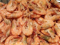 -常州富力喜来登酒店 Feast盛宴标帜西餐厅(新北万达广场店)