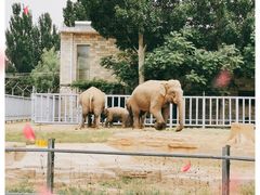 -石家庄市动物园