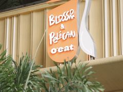 -O'eat Blossom&Pelican(深圳首店)