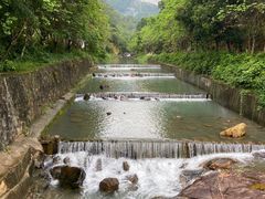 -广州白江湖森林公园