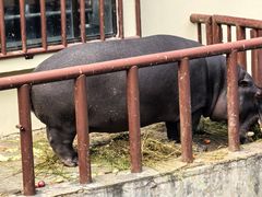 -青藏高原野生动物园