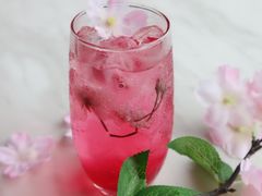 樱花树下-樱花里音乐餐吧·牛扒椰子鸡(东圃店)