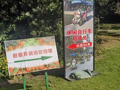-上海滨江森林公园