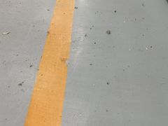 -博睿通达汽车修理站