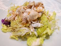 河豚鱼肉沙拉-鲐赏河豚(长寿店)