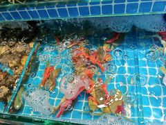 -悦鼎汇海鲜姿造