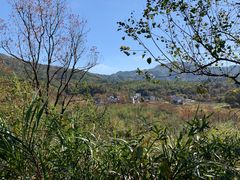 -塔川景区
