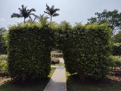 -人民公园(罗湖区)