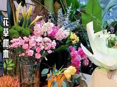 -PlantsEatery·植物食堂(REX春熙店)