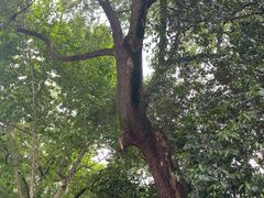 -湖南省立第一师范学校旧址