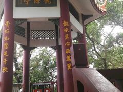 -宋井风景区