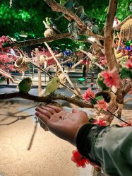 -酷嗒动物文化乐园(cutezoo西溪乐天城店)