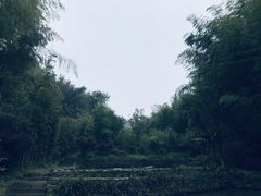 -常德桃花源景区