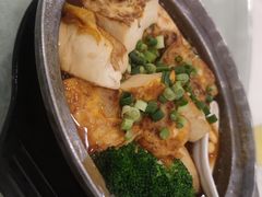 -姚林轩