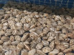 -犇鼎牛潮汕牛肉火锅(新辰里学清路店)