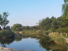 -西海子公园