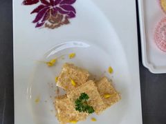 -丁老爷子苏香圆