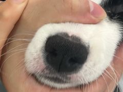 -盈香心动乐园
