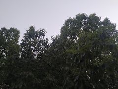 -浙江大学(玉泉校区)
