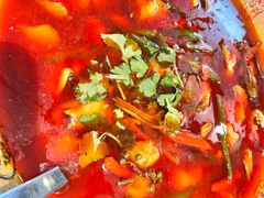 -陈麻婆豆腐(旗舰店)