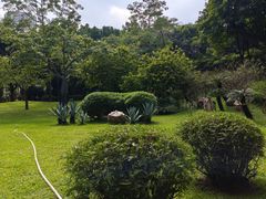 -晓港公园