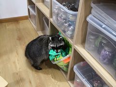 -藦茜花园宠物主题亲子互动体验馆(国顺东路店)