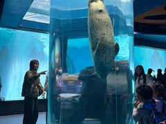 -海合安武汉极地海洋公园