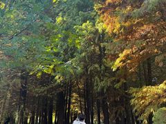 -溱湖国家湿地公园