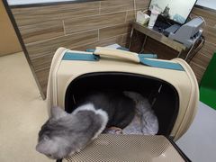 -爱侣宠医·鹦鹉专科·小型哺乳类·异宠专科(灵石路店)