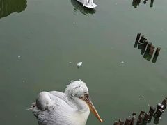 -无锡动物园·太湖欢乐园