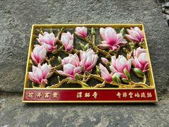 -潭柘寺景区