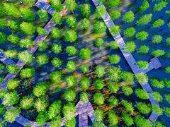 -泗洪洪泽湖湿地景区