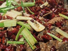 -老板恋上鱼(恒隆广场店)