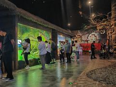 -华夏文旅海洋公园