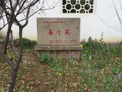 -香雪海