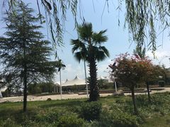 -千龙湖生态旅游度假区